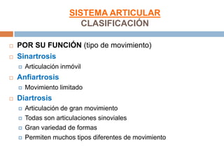 SISTEMA ARTICULAR
                          CLASIFICACIÓN

   POR SU FUNCIÓN (tipo de movimiento)
   Sinartrosis
      ...