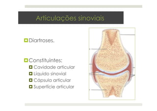 Articulações sinoviais
¤Diartroses.
¤Constituintes:
¤ Cavidade articular
¤ Líquido sinovial
¤ Cápsula articular
¤ Superfíc...