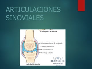 ARTICULACIONES
SINOVIALES
 
