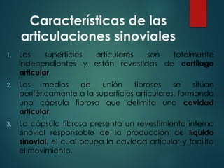 Características de las
articulaciones sinoviales
1. Las superficies articulares son totalmente
independientes y están revestidas de cartílago
articular.
2. Los medios de unión fibrosos se sitúan
periféricamente a la superficies articulares, formando
una cápsula fibrosa que delimita una cavidad
articular.
3. La cápsula fibrosa presenta un revestimiento interno
sinovial responsable de la producción de líquido
sinovial, el cual ocupa la cavidad articular y facilita
el movimiento.
 