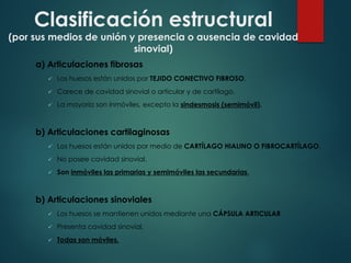 Clasificación estructural
(por sus medios de unión y presencia o ausencia de cavidad
sinovial)
a) Articulaciones fibrosas
ü Los huesos están unidos por TEJIDO CONECTIVO FIBROSO.
ü Carece de cavidad sinovial o articular y de cartílago.
ü La mayoría son inmóviles, excepto la sindesmosis (semimóvil).
b) Articulaciones cartilaginosas
ü Los huesos están unidos por medio de CARTÍLAGO HIALINO O FIBROCARTÍLAGO.
ü No posee cavidad sinovial.
ü Son inmóviles las primarias y semimóviles las secundarias.
b) Articulaciones sinoviales
ü Los huesos se mantienen unidos mediante una CÁPSULA ARTICULAR
ü Presenta cavidad sinovial.
ü Todas son móviles.
 