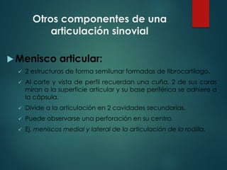 Otros componentes de una
articulación sinovial
u Menisco articular:
ü 2 estructuras de forma semilunar formadas de fibrocartílago.
ü Al corte y vista de perfil recuerdan una cuña, 2 de sus caras
miran a la superficie articular y su base periférica se adhiere a
la cápsula.
ü Divide a la articulación en 2 cavidades secundarias.
ü Puede observarse una perforación en su centro.
ü Ej. meniscos medial y lateral de la articulación de la rodilla.
 
