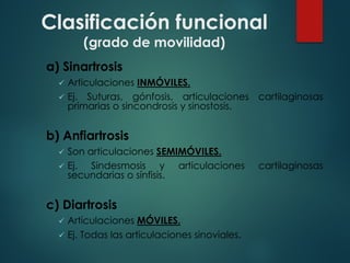 Clasificación funcional
(grado de movilidad)
a) Sinartrosis
ü Articulaciones INMÓVILES.
ü Ej. Suturas, gónfosis, articulaciones cartilaginosas
primarias o sincondrosis y sinostosis.
b) Anfiartrosis
ü Son articulaciones SEMIMÓVILES.
ü Ej. Sindesmosis y articulaciones cartilaginosas
secundarias o sínfisis.
c) Diartrosis
ü Articulaciones MÓVILES.
ü Ej. Todas las articulaciones sinoviales.
 