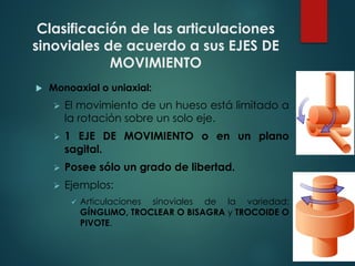 Clasificación de las articulaciones
sinoviales de acuerdo a sus EJES DE
MOVIMIENTO
u Monoaxial o uniaxial:
Ø El movimiento de un hueso está limitado a
la rotación sobre un solo eje.
Ø 1 EJE DE MOVIMIENTO o en un plano
sagital.
Ø Posee sólo un grado de libertad.
Ø Ejemplos:
ü Articulaciones sinoviales de la variedad:
GÍNGLIMO, TROCLEAR O BISAGRA y TROCOIDE O
PIVOTE.
 