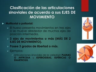 Clasificación de las articulaciones
sinoviales de acuerdo a sus EJES DE
MOVIMIENTO
u Multiaxial o poliaxial:
Ø El hueso presenta movimientos en tres ejes
o se mueve alrededor de muchos ejes de
posición intermedia.
Ø 3 ejes de movimientos o más (MÁS DE 2
EJES DE MOVIMIENTO).
Ø Posee 3 grados de libertad o más.
Ø Ejemplos:
ü Articulaciones sinoviales de la variedad: PLANAS
O ARTRODIA y ESFEROIDEAS, ESFÉRICAS O
ENARTROSIS.
 