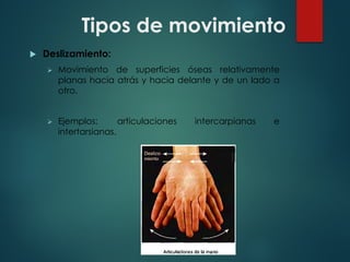 Tipos de movimiento
u Deslizamiento:
Ø Movimiento de superficies óseas relativamente
planas hacia atrás y hacia delante y de un lado a
otro.
Ø Ejemplos: articulaciones intercarpianas e
intertarsianas.
 