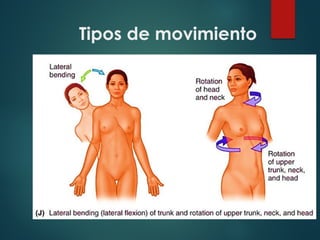 Tipos de movimiento
 