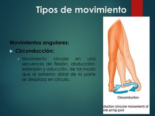 Tipos de movimiento
Movimientos angulares:
u Circunducción:
Ø Movimiento circular en una
secuencia de flexión, abducción,
extensión y aducción, de tal modo
que el extremo distal de la parte
se desplaza en círculo.
 