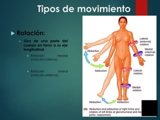 Tipos de movimiento
u Rotación:
Ø Giro de una parte del
cuerpo en torno a su eje
longitudinal.
v Rotación medial
(rotación interna).
v Rotación lateral
(rotación externa).
 