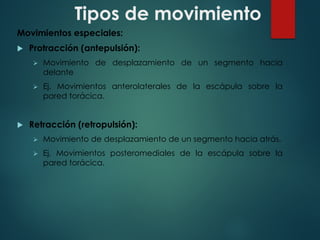 Tipos de movimiento
Movimientos especiales:
u Protracción (antepulsión):
Ø Movimiento de desplazamiento de un segmento hacia
delante
Ø Ej. Movimientos anterolaterales de la escápula sobre la
pared torácica.
u Retracción (retropulsión):
Ø Movimiento de desplazamiento de un segmento hacia atrás.
Ø Ej. Movimientos posteromediales de la escápula sobre la
pared torácica.
 