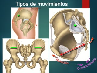 Tipos de movimientos
Eje transversal
sacroilíaco
 