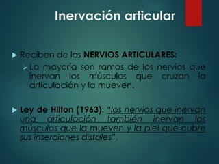 Inervación articular
u Reciben de los NERVIOS ARTICULARES:
Ø La mayoría son ramos de los nervios que
inervan los músculos que cruzan la
articulación y la mueven.
u Ley de Hilton (1963): “los nervios que inervan
una articulación también inervan los
músculos que la mueven y la piel que cubre
sus inserciones distales”.
 