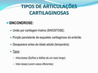 TIPOS DE ARTICULAÇÕES
               CARTILAGINOSAS
SINCONDROSE:

  União por cartilagem hialina (SINOSTOSE)

  Porção persistente de esqueleto cartilaginoso do embrião

  Desaparece antes da idade adulta (temporária)

  Tipos:

      Intra-óssea (Epífise e diáfise de um osso longo)

      Inter-óssea (unem ossos diferentes)
 