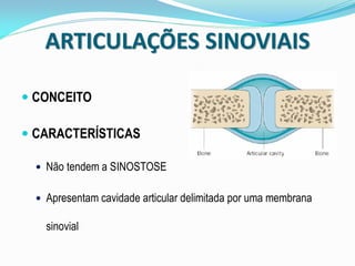 ARTICULAÇÕES SINOVIAIS

 CONCEITO

 CARACTERÍSTICAS

   Não tendem a SINOSTOSE


   Apresentam cavidade articular delimitada por uma membrana

    sinovial
 