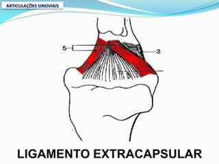 ARTICULAÇÕES SINOVIAIS




    LIGAMENTO EXTRACAPSULAR
 