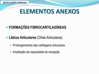 ARTICULAÇÕES SINOVIAIS



               ELEMENTOS ANEXOS

   FORMAÇÕES FIBROCARTILAGÍNEAS

   Lábios Articulares (Orlas Articulares)

       Prolongamentos das cartilagens articulares

       Ampliação da capacidade de recepção
 
