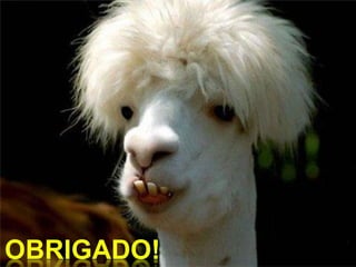 Sistema Articular (Anatomia Veterinária)