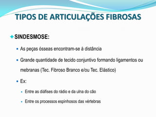 TIPOS DE ARTICULAÇÕES FIBROSAS

SINDESMOSE:

   As peças ósseas encontram-se à distância

   Grande quantidade de tecido conjuntivo formando ligamentos ou

    mebranas (Tec. Fibroso Branco e/ou Tec. Elástico)

   Ex:

       Entre as diáfises do rádio e da ulna do cão

       Entre os processos espinhosos das vértebras
 