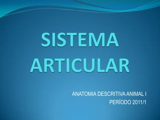 ANATOMIA DESCRITIVA ANIMAL I
             PERÍODO 2011/1
 