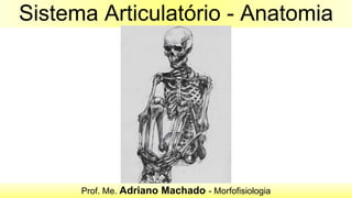 Sistema Articulatório - Anatomia
Prof. Me. Adriano Machado - Morfofisiologia
 