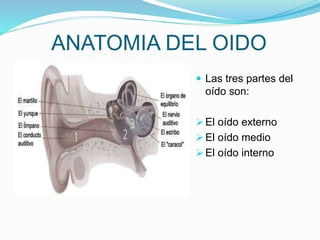 ANATOMIA DEL OIDO
 Las tres partes del
oído son:
 El oído externo
 El oído medio
 El oído interno
 