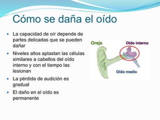 Cómo se daña el oído
 La capacidad de oír depende de
partes delicadas que se pueden
dañar
 Niveles altos aplastan las células
similares a cabellos del oído
interno y con el tiempo las
lesionan
 La pérdida de audición es
gradual
 El daño en el oído es
permanente
 