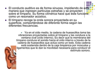    El conducto auditivo es de forma sinuosa, impidiendo de esta
    manera que ingresen partículas extrañas y se proyecten
    sobre el tímpano. Su forma cilíndrica hace que éste funcione
    como un resonador acústico.
   El tímpano recoge la onda sonora proyectada en su
    superficie, comportándose de diferente forma según las
    diferentes frecuencias.

                 Ya en el oído medio, la cadena de huesecillos toma las
            vibraciones proyectadas sobre el tímpano y las conduce a la
               ventana oval (oído interno). Es decir que la membrana del
         tímpano conduce el sonido hacia el oído interno a través de la
            cadena de huesecillos que actúa como un todo. Esta cadena
               está sostenida dentro de la caja timpánica por músculos y
          ligamentos que le dan la movilidad necesaria para conducir el
                                                         estímulo sonoro.
 