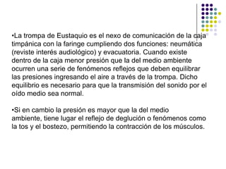 •La trompa de Eustaquio es el nexo de comunicación de la caja
timpánica con la faringe cumpliendo dos funciones: neumática
(reviste interés audiológico) y evacuatoria. Cuando existe
dentro de la caja menor presión que la del medio ambiente
ocurren una serie de fenómenos reflejos que deben equilibrar
las presiones ingresando el aire a través de la trompa. Dicho
equilibrio es necesario para que la transmisión del sonido por el
oído medio sea normal.

•Si en cambio la presión es mayor que la del medio
ambiente, tiene lugar el reflejo de deglución o fenómenos como
la tos y el bostezo, permitiendo la contracción de los músculos.
 