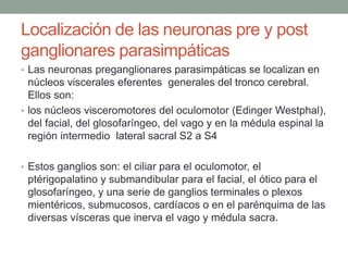 Localización de las neuronas pre y post
ganglionares parasimpáticas
• Las neuronas preganglionares parasimpáticas se localizan en
núcleos viscerales eferentes generales del tronco cerebral.
Ellos son:
• los núcleos visceromotores del oculomotor (Edinger Westphal),
del facial, del glosofaríngeo, del vago y en la médula espinal la
región intermedio lateral sacral S2 a S4
• Estos ganglios son: el ciliar para el oculomotor, el
ptérigopalatino y submandibular para el facial, el ótico para el
glosofaríngeo, y una serie de ganglios terminales o plexos
mientéricos, submucosos, cardíacos o en el parénquima de las
diversas vísceras que inerva el vago y médula sacra.
 