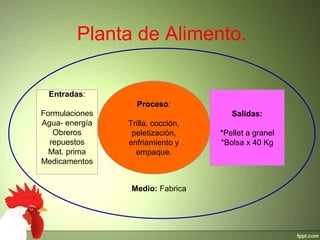 Planta de Alimento.
Proceso:
Trilla, cocción,
peletización,
enfriamiento y
empaque.
Entradas:
Formulaciones
Agua- energía
Obreros
repuestos
Mat. prima
Medicamentos
Salidas:
*Pellet a granel
*Bolsa x 40 Kg
Medio: Fabrica
 