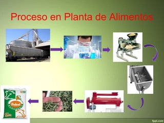 Proceso en Planta de Alimentos
 