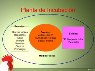 Planta de Incubación
Proceso:
Voltear, dar T°,
humidificar: 18 días
Secar: 3 horas
Entradas:
Huevos fértiles
Repuestos
Agua
Energía
Vacunas
Obreros
Embalajes
Salidas:
*Pollito(a) de 1 día
*Descartes
Medio: Fabrica
 