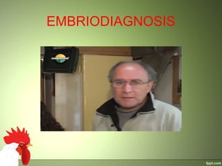 EMBRIODIAGNOSIS
 