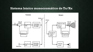 Programar Radio Rx Tx Sistema basico tx rx | PDF