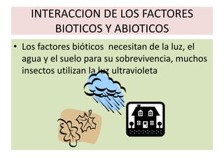 INTERACCION DE LOS FACTORES
        BIOTICOS Y ABIOTICOS
• Los factores bióticos necesitan de la luz, el
  agua y el suelo para su sobrevivencia, muchos
  insectos utilizan la luz ultravioleta
 