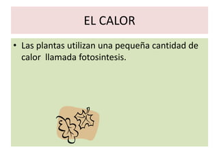 EL CALOR
• Las plantas utilizan una pequeña cantidad de
  calor llamada fotosintesis.
 