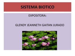 SISTEMA BIOTICO
       EXPOSITORA:

GLENDY JEANNETH GAITAN JURADO
 