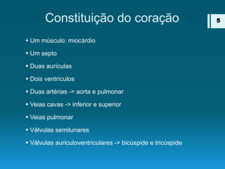 Constituição do coração
 Um músculo: miocárdio
 Um septo
 Duas aurículas
 Dois ventrículos
 Duas artérias -> aorta e pulmonar
 Veias cavas -> inferior e superior
 Veias pulmonar
 Válvulas semilunares
 Válvulas auriculoventriculares -> bicúspide e tricúspide
5
 