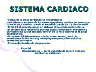 Sistema Cardiaco - Embriología ERA 3 | PPT