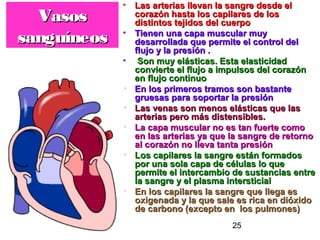 25
VasosVasos
sanguíneossanguíneos
• Las arterias llevan la sangre desde elLas arterias llevan la sangre desde el
corazón hasta los capilares de loscorazón hasta los capilares de los
distintos tejidos del cuerpodistintos tejidos del cuerpo
• Tienen una capa muscular muyTienen una capa muscular muy
desarrollada que permite el control deldesarrollada que permite el control del
flujo y la presión .flujo y la presión .
• Son muy elásticas. Esta elasticidadSon muy elásticas. Esta elasticidad
convierte el flujo a impulsos del corazónconvierte el flujo a impulsos del corazón
en flujo continuoen flujo continuo
• En los primeros tramos son bastanteEn los primeros tramos son bastante
gruesas para soportar la presióngruesas para soportar la presión
• Las venas son menos elásticas que lasLas venas son menos elásticas que las
arterias pero más distensibles.arterias pero más distensibles.
• La capa muscular no es tan fuerte comoLa capa muscular no es tan fuerte como
en las arterias ya que la sangre de retornoen las arterias ya que la sangre de retorno
al corazón no lleva tanta presiónal corazón no lleva tanta presión
• Los capilares la sangre están formadosLos capilares la sangre están formados
por una sola capa de células lo quepor una sola capa de células lo que
permite el intercambio de sustancias entrepermite el intercambio de sustancias entre
la sangre y el plasma intersticialla sangre y el plasma intersticial
• En los capilares la sangre que llega esEn los capilares la sangre que llega es
oxigenada y la que sale es rica en dióxidooxigenada y la que sale es rica en dióxido
de carbono (excepto en los pulmones)de carbono (excepto en los pulmones)
 