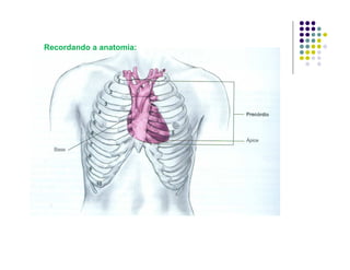 Recordando a anatomia:
 