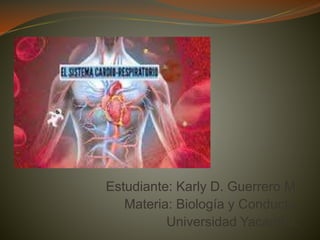 Estudiante: Karly D. Guerrero M.
Materia: Biología y Conducta.
Universidad Yacambú.
 