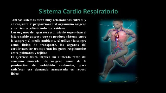 sistema cardio