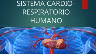 SISTEMA CARDIO-
RESPIRATORIO
HUMANO
 