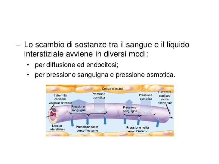 Pressione Osmotica Del Sangue Cos è