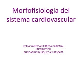 Morfofisiología del sistema cardiovascular ERIKA VANESSA HERRERA CARVAJAL INSTRUCTOR FUNDACIÓN BÚSQUEDA Y RESCATE 