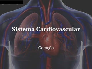 Sistema Cardiovascular


        Coração
 