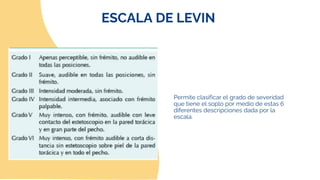 sistema cardiopulmonar.pdf