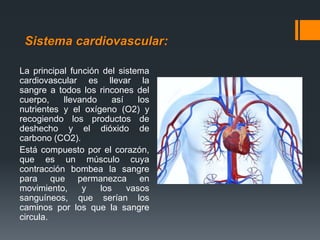 Sistema cardiovascular:
La principal función del sistema
cardiovascular es llevar la
sangre a todos los rincones del
cuerpo, llevando así los
nutrientes y el oxígeno (O2) y
recogiendo los productos de
deshecho y el dióxido de
carbono (CO2).
Está compuesto por el corazón,
que es un músculo cuya
contracción bombea la sangre
para que permanezca en
movimiento, y los vasos
sanguíneos, que serían los
caminos por los que la sangre
circula.
 