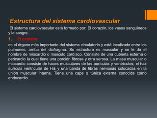Estructura del sistema cardiovascular
El sistema cardiovascular está formado por: El corazón, los vasos sanguíneos
y la sangre.
1. El corazón:
es el órgano más importante del sistema circulatorio y está localizado entre los
pulmones, arriba del diafragma. Su estructura es muscular y se le da el
nombre de miocardio o músculo cardíaco. Consiste de una cubierta externa o
pericardio la cual tiene una porción fibrosa y otra serosa. La masa muscular o
miocardio consiste de haces musculares de las aurículas y ventrículos; el haz
aurícula ventricular de His y una banda de fibras nerviosas colocadas en la
unión muscular interna. Tiene una capa o túnica externa conocida como
endocardio.
 